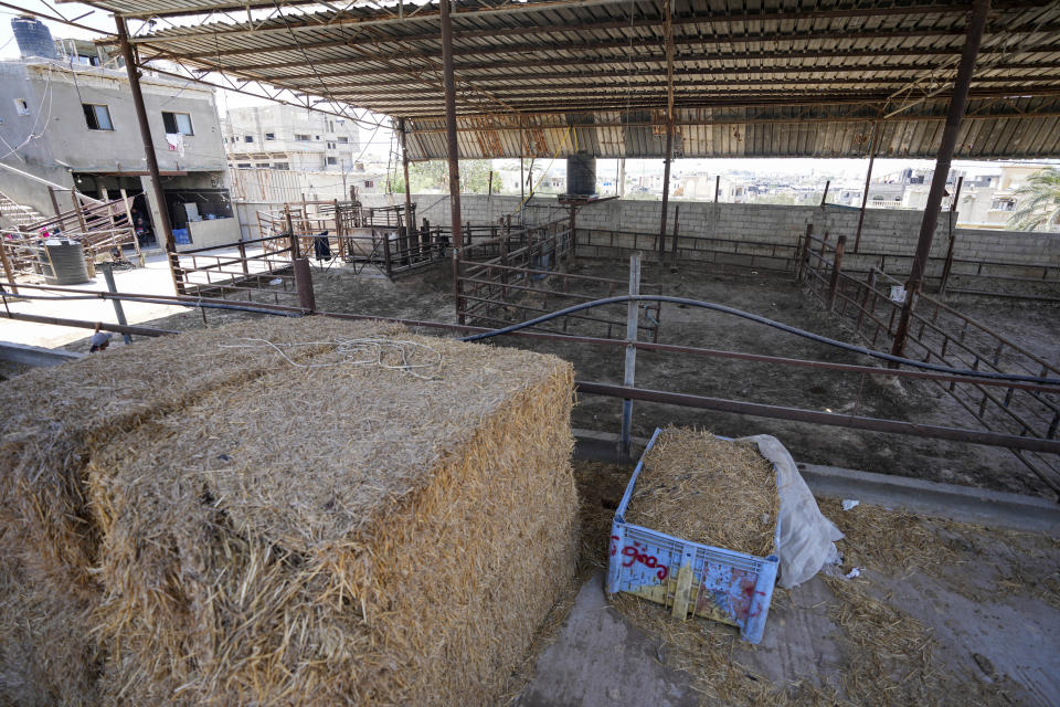 Establos de animales, vacíos antes de la fiesta del Eid al-Adha, en Jan Yunis, Franja de Gaza, el 10 de junio de 2024. Tras ocho meses de devastadora guerra entre Israel y Hamás, es difícil encontrar carne o ganado vivo en los mercados locales. (AP Foto/Abdel Kareem Hana)