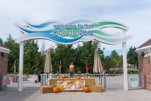 <p>Shutterstock</p> Buffalo Zoo