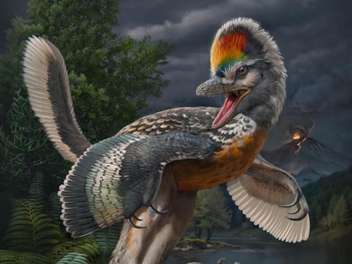 Naukowcy odkryli „dziwnego” długonogiego dinozaura, który nie przypomina niczego widzianego wcześniej i może napisać na nowo historię ewolucji ptaków