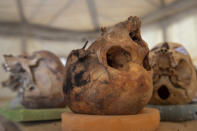 CORRECTS DAY OF WEEK TO SUNDAY - A trove of ancient skulls are on display that Egyptian archaeologist Zahi Hawass and his team unearthed in a vast necropolis, in Saqqara, south of Cairo, Egypt, Sunday, Jan. 17, 2021. (AP Photo/Nariman El-Mofty)