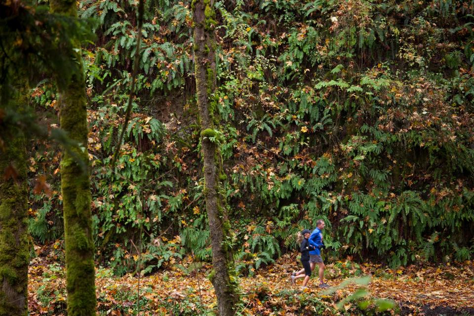 Forest Park in Portland, Ore., offers 70 miles of trails within the city limits.