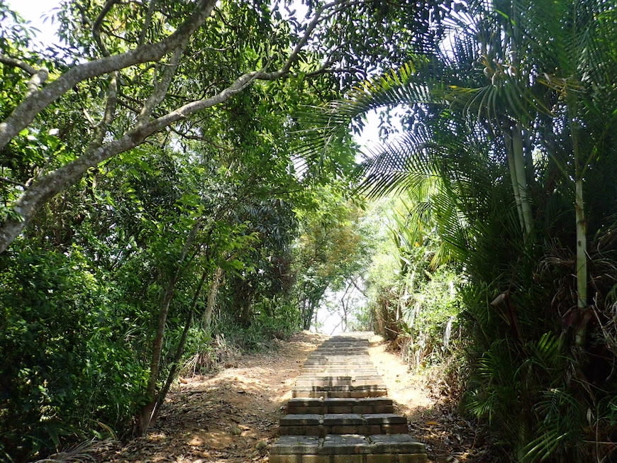 苗栗老崎古道（頭份後花園步道）