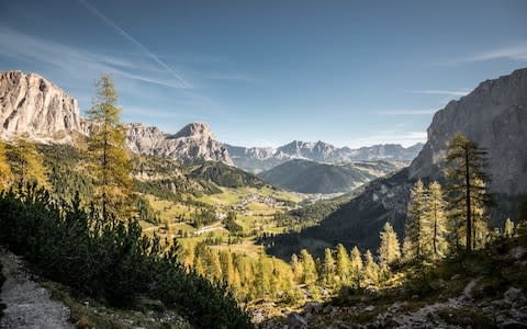 The bear is roaming the Dolomites in northern Italy, between the provinces of Trentino and South Tyrol