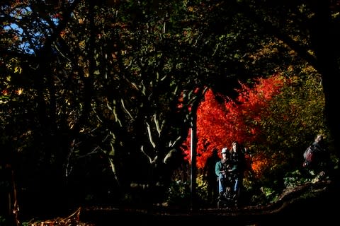 Batsford Arboretum - Credit: getty