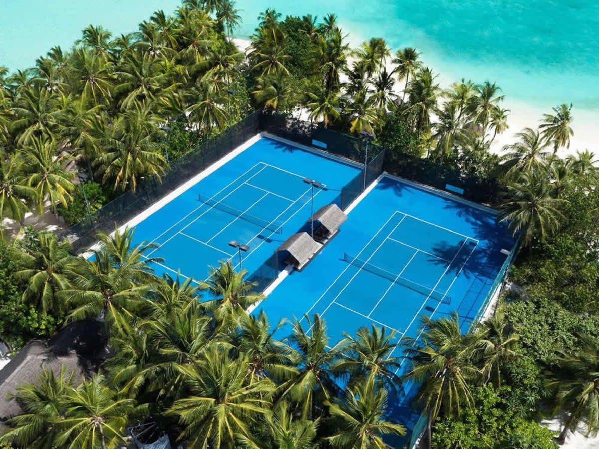 Play among the palm trees in the Maldives  (Vakkaru Maldives)