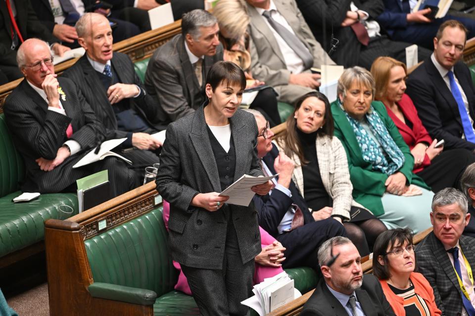 File photo: Caroline Lucas (PA)