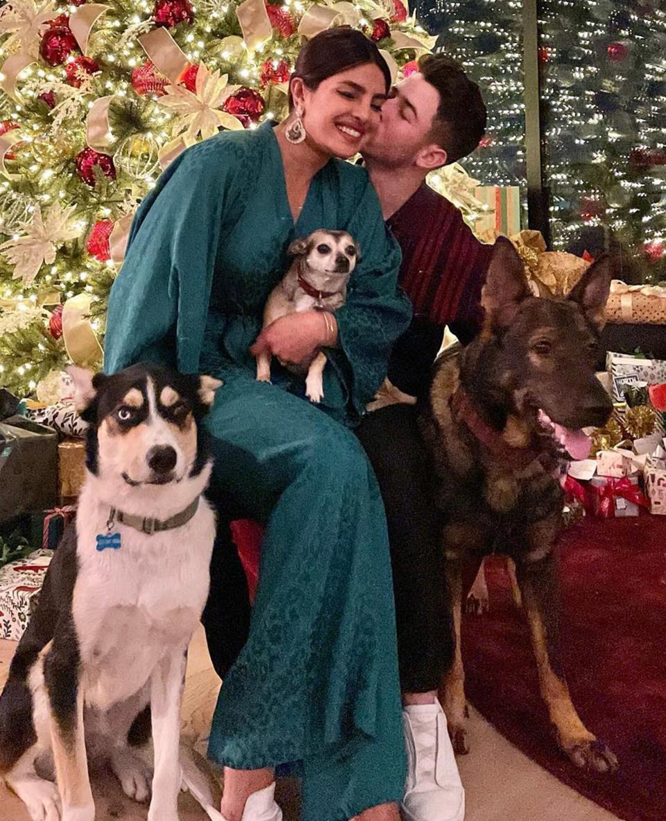 Priyanka Chopra and Nick Jonas with their dogs