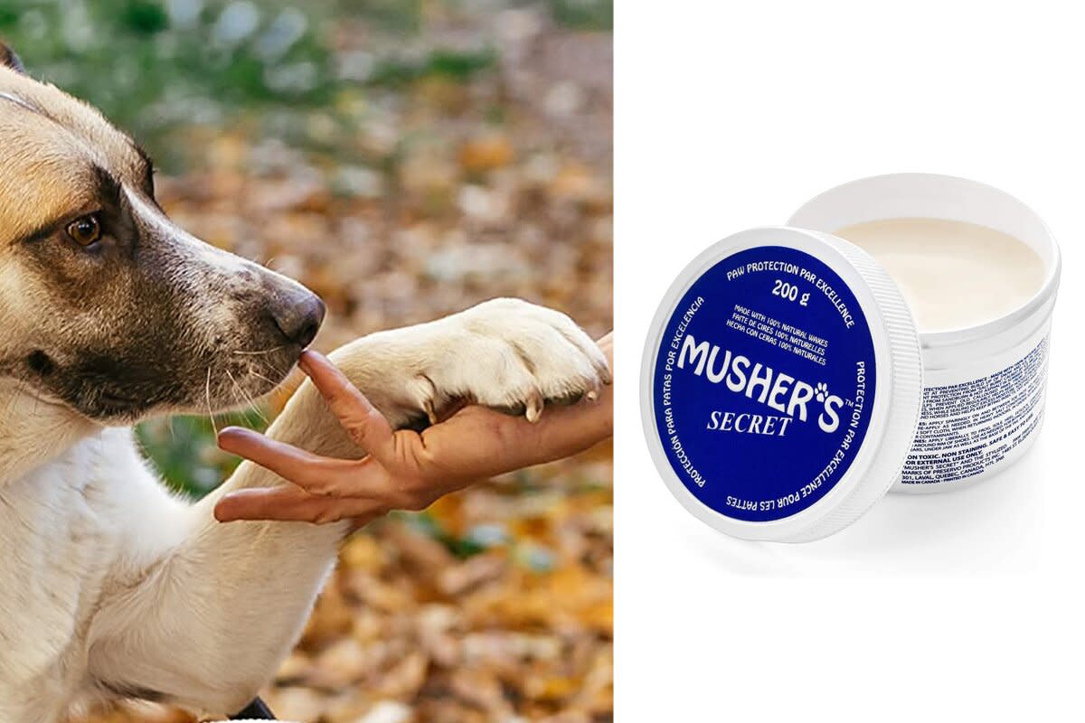 Musher's Secret Dog Paw Wax