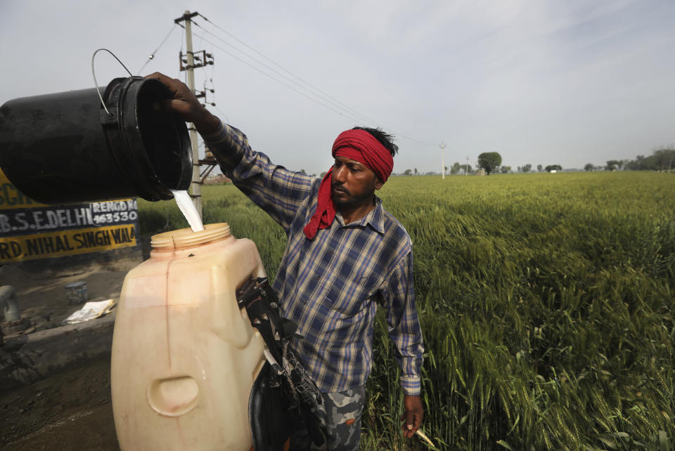 A laborer prepares pesticide to spray in standing wheat crop in Moga district of Indian state of Punjab, Saturday, March 13, 2021. India is home to a fifth of the world's population but has only 4% of the world's water. The country is the largest extractor of groundwater in the world, and 90% of it is used for agriculture. And nowhere is the water shortage more pronounced than in Punjab state, where the India encouraged the cultivation of wheat and rice in the 1960s and has since been buying the staples at fixed prices to shore up national reserves. (AP Photo/Manish Swarup)