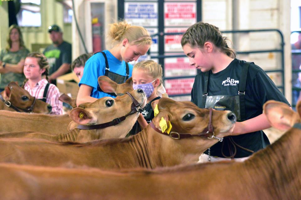 It was Jersey show time on Saturday evening at the Wayne County Fair in 2021.