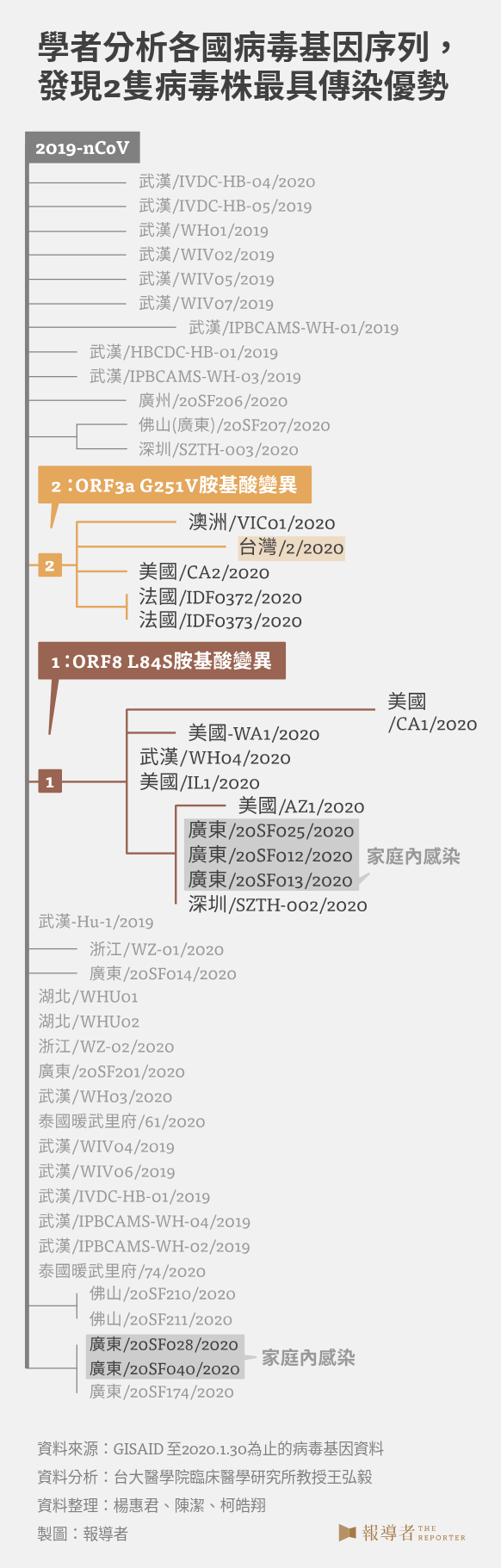 學者分析各國病毒基因序列，發現2隻病毒株最具傳染優勢