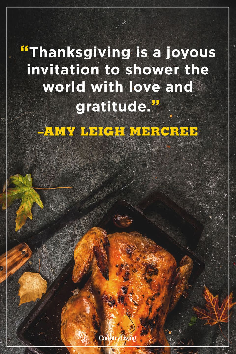 <p>“Thanksgiving is a joyous invitation to shower the world with love and gratitude.”</p>