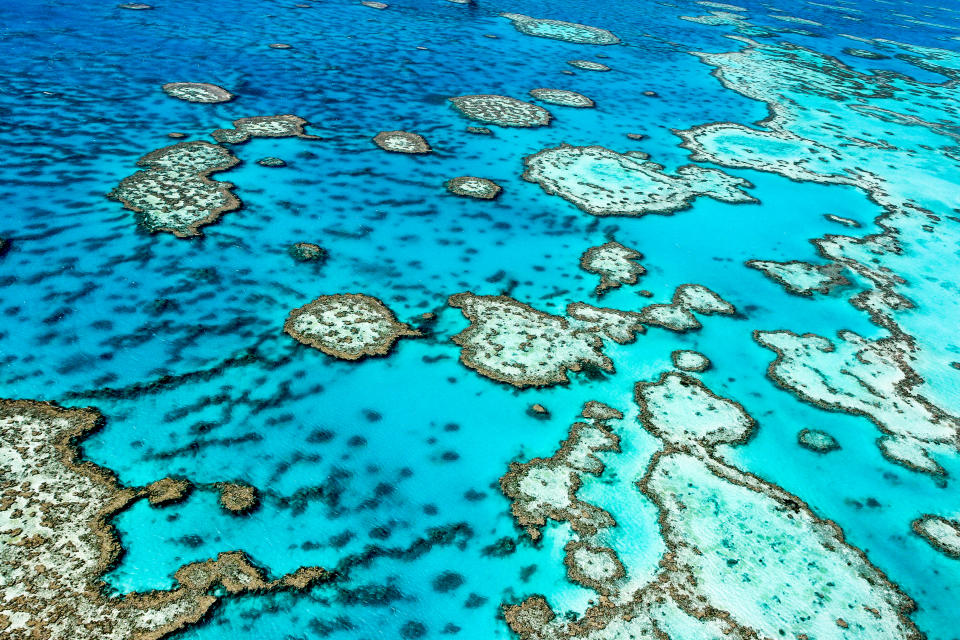 The Great Barrier Reef in north Queensland,Australia.