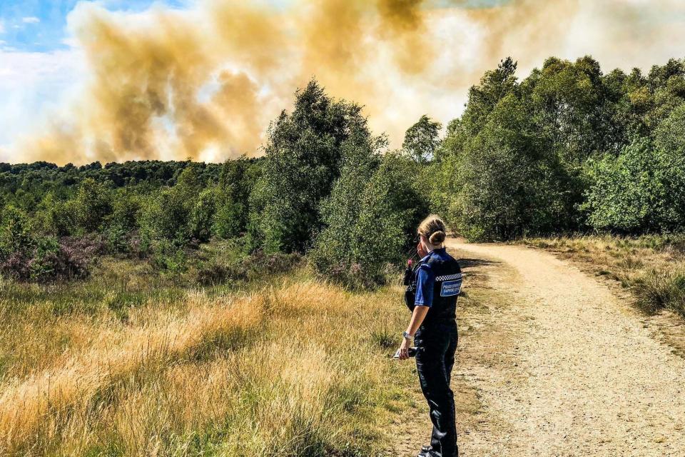 Smoke was seen for miles around as the blaze tore through the Chobham nature reserve (PA)