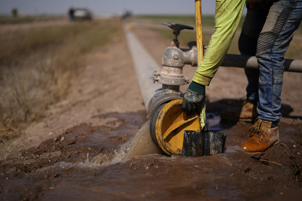 Un trabajador instala un sistema de regado en una plantación de alfalfa de la familia Cox en Brawley (California) el 15 de agosto del 2022. La alfalfa consume mucha agua en una región muy dependiente del río Colorado, que ya no puede satisfacer la demanda de ese recurso. (AP Photo/Gregory Bull)