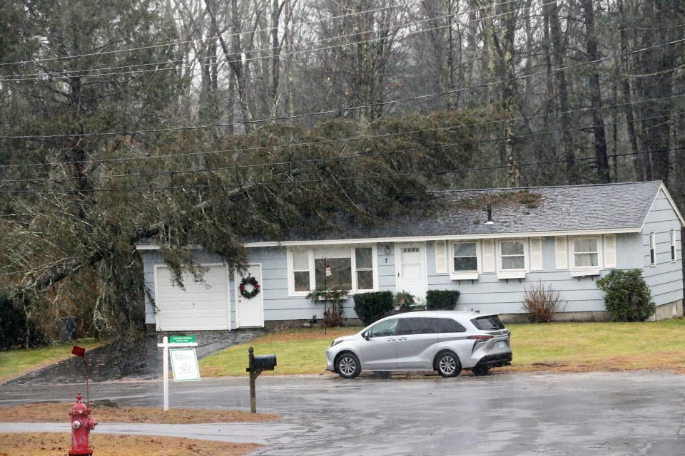 A large pine tree sits on a roof of a home on Spruce Drive in Dover due to high winds Monday, Dec. 18, 2023.