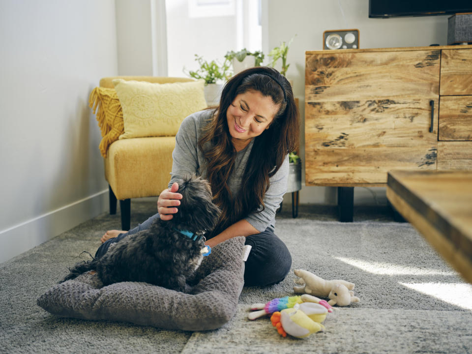 A woman spending time at home with her pet Shih Tzu dod.