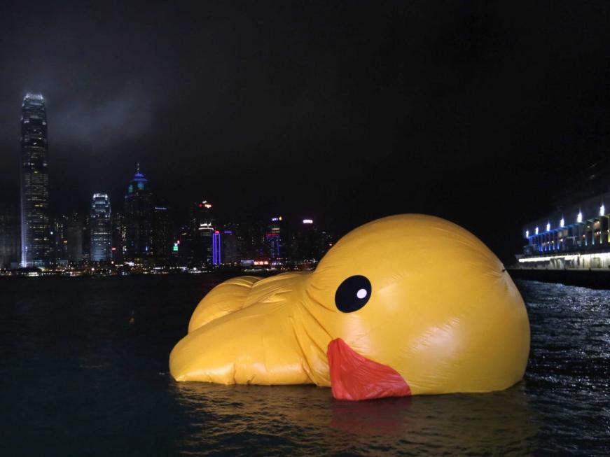 deflating duck