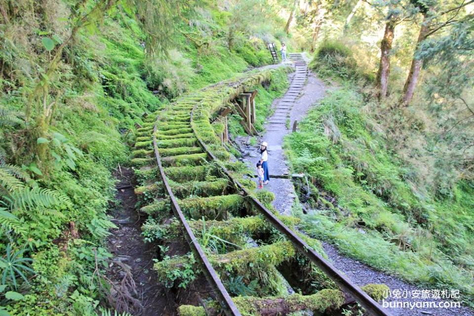 宜蘭太平山一日遊