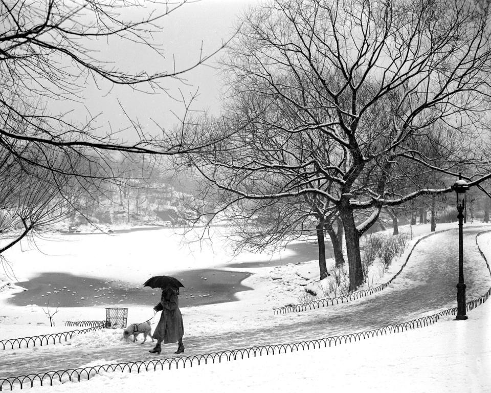 <p>A New Yorker takes her dog for a walk amongst a snowy Central Park. </p>