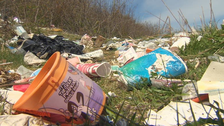 Grand Concourse looking for volunteers to help clean up trash on trails