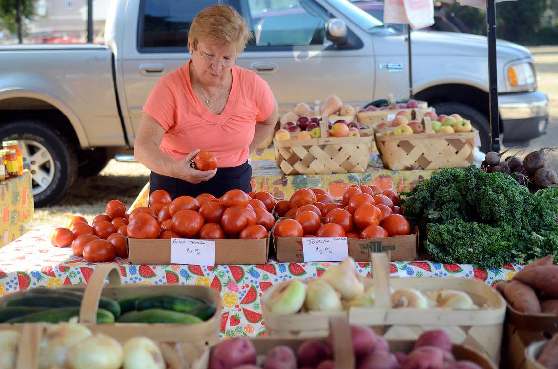 Marriett Campbell of Hilton Head Island looks through tomatoes at the Spanish Wells Seafood and Produce booth at the Shelter Cove Farmers’ Market at Shelter Cove Community Park on Hilton Head Island.