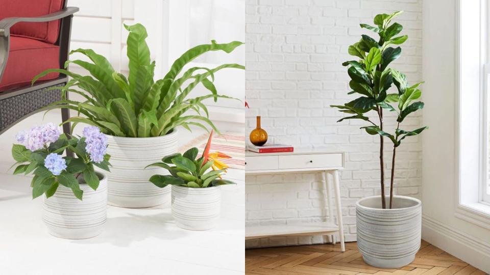 These gorgeous planters are inexpensive and durable.