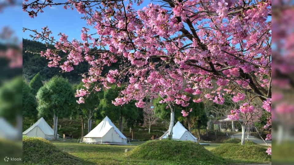 Fall in Love with Xiong Glamping in Hsinchu. (Photo: Klook SG)