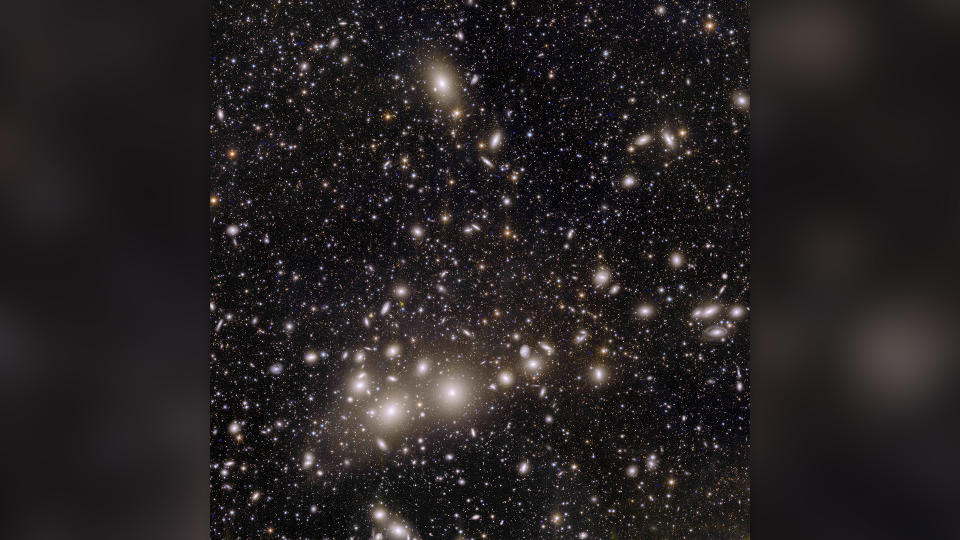 Euclid's view of the Perseus cluster of galaxies.