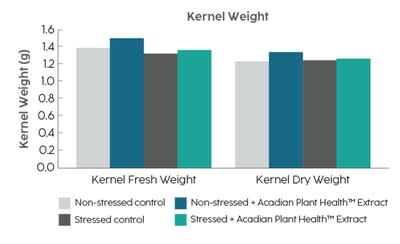 Non-stressed and stressed almonds that were treated with Acadian biostimulants had 9 per cent and 2 per cent higher dry kernel weights than their non-treated counterparts.