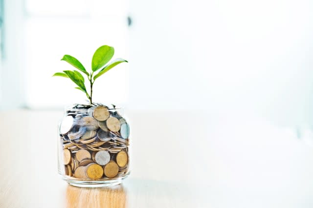 Young plant growing from coin jar