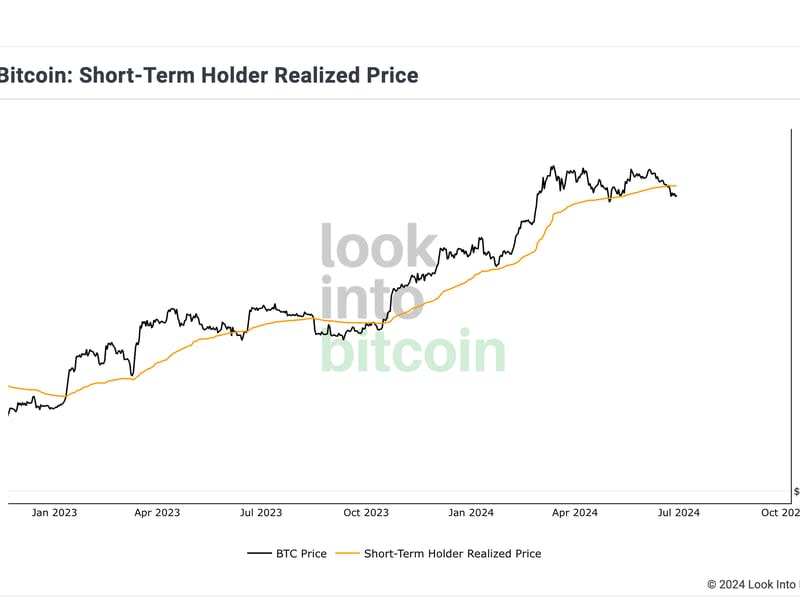 Bitcoin short-term holder realized price or average cost basis. (LookIntoBitcoin)