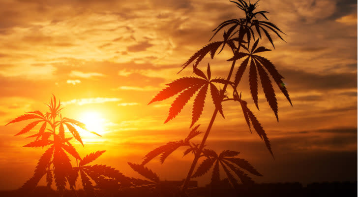 2 Hot Marijuana Stocks to Watch This Week, Including Aphria (APHA)