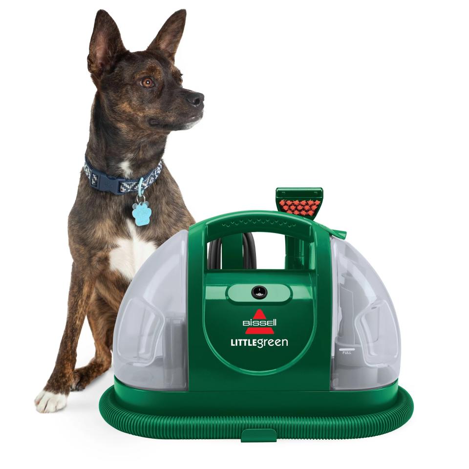 Bissell Little Green Machine with a dog sitting next to it