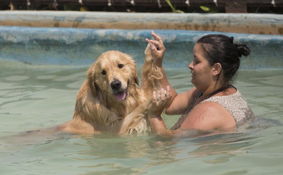 <p>Dog “Shimbalaie” and its owner compete in the synchronized swimming competition during the Dog Olympic Games in Rio de Janeiro, Brazil, Sunday, Sept. 18, 2016. Owner of the dog park and organizer of the animal event Marco Antonio Toto says his goal is to socialize humans and their pets while celebrating sports. (AP Photo/Silvia Izquierdo) </p>