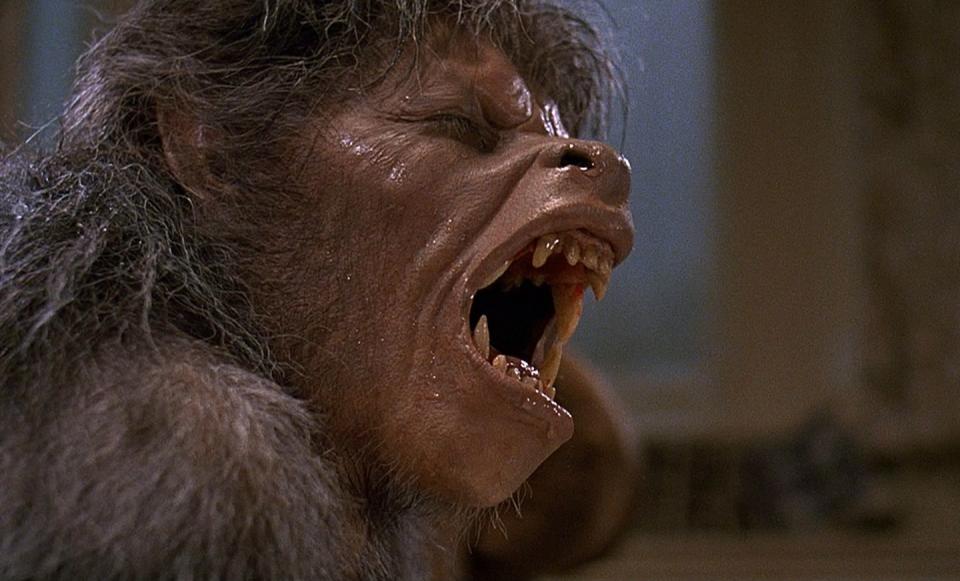 <p>This Jonathan Landis horror-comedy is worth it for the werewolf transformation alone — the movie won the first-ever Academy Award for Best Makeup. (The famed Rick Baker created the looks.)</p><p><a class="link " href="https://www.amazon.com/American-Werewolf-London-John-Landis/dp/B00ABOLNVK?tag=syn-yahoo-20&ascsubtag=%5Bartid%7C10055.g.29579568%5Bsrc%7Cyahoo-us" rel="nofollow noopener" target="_blank" data-ylk="slk:WATCH ON AMAZON PRIME">WATCH ON AMAZON PRIME</a></p>