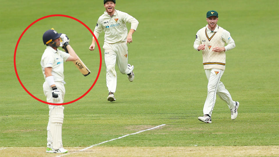  Tasmanian players celebrate the dismissal of Marcus Harris (pictured left) of Victoria during day one of the Sheffield Shield match.