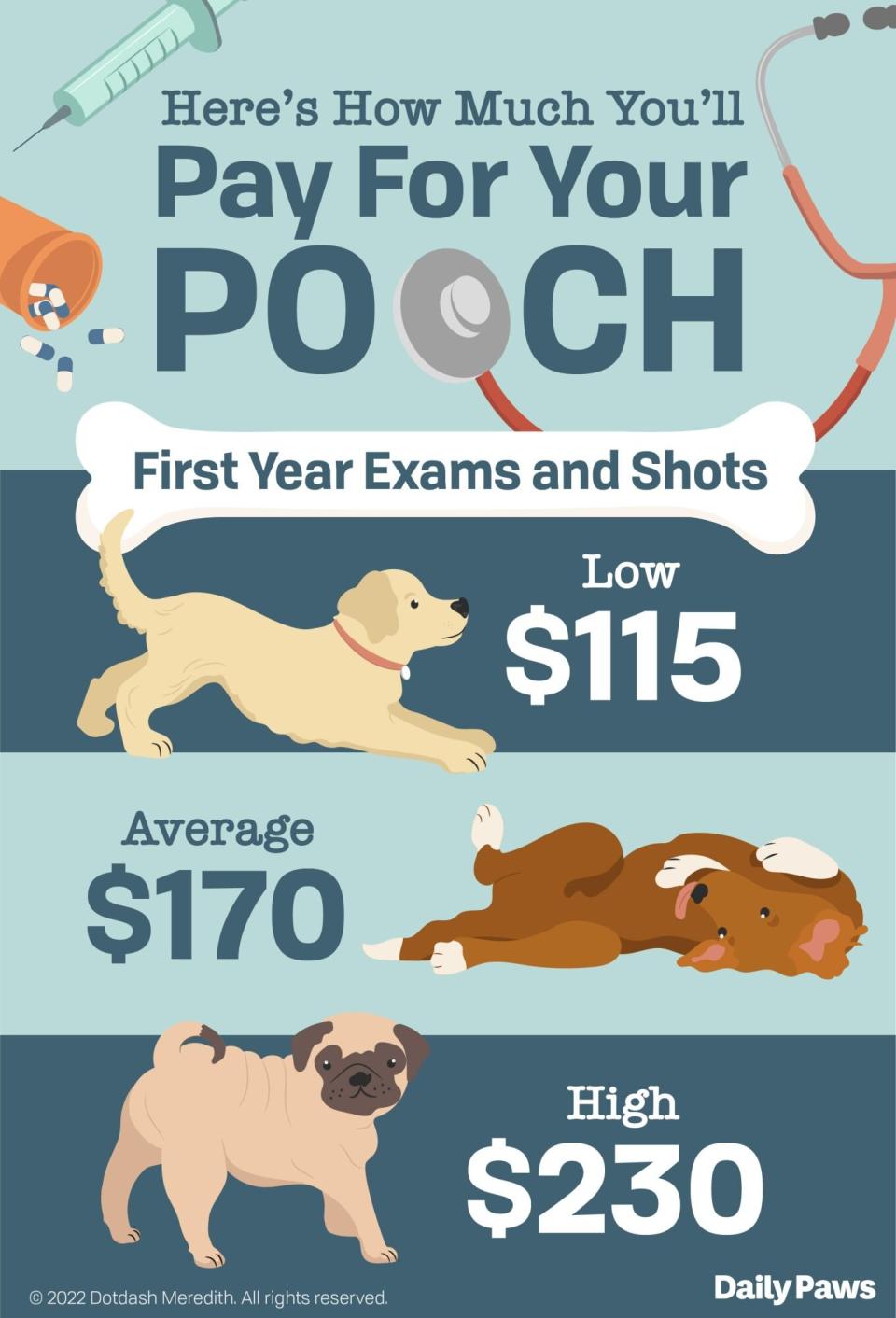 Infographic with the price ranges for dog's vaccination and exam cost