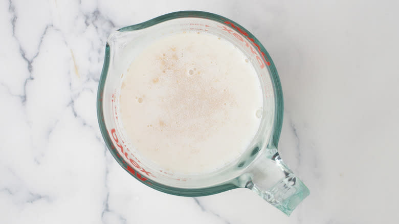 yeast mixture bubbling in measuring cup