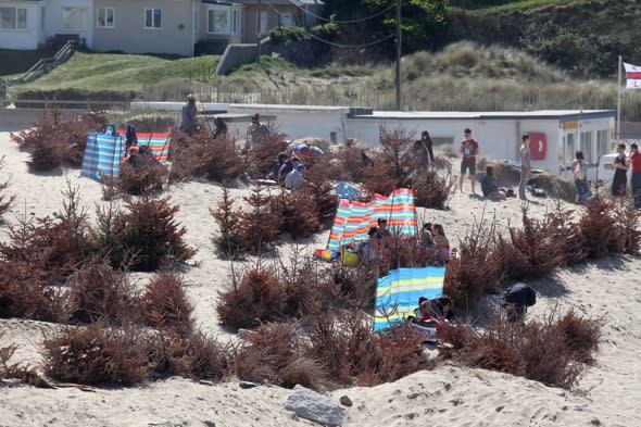 council-remove-christmas-trees-porthtowan-beach-cornwall