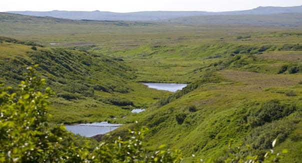 Scenic overview of beaver ponds in a tributary to Upper Talarik Creek, Pebble Deposit in background, Southwest Alaska