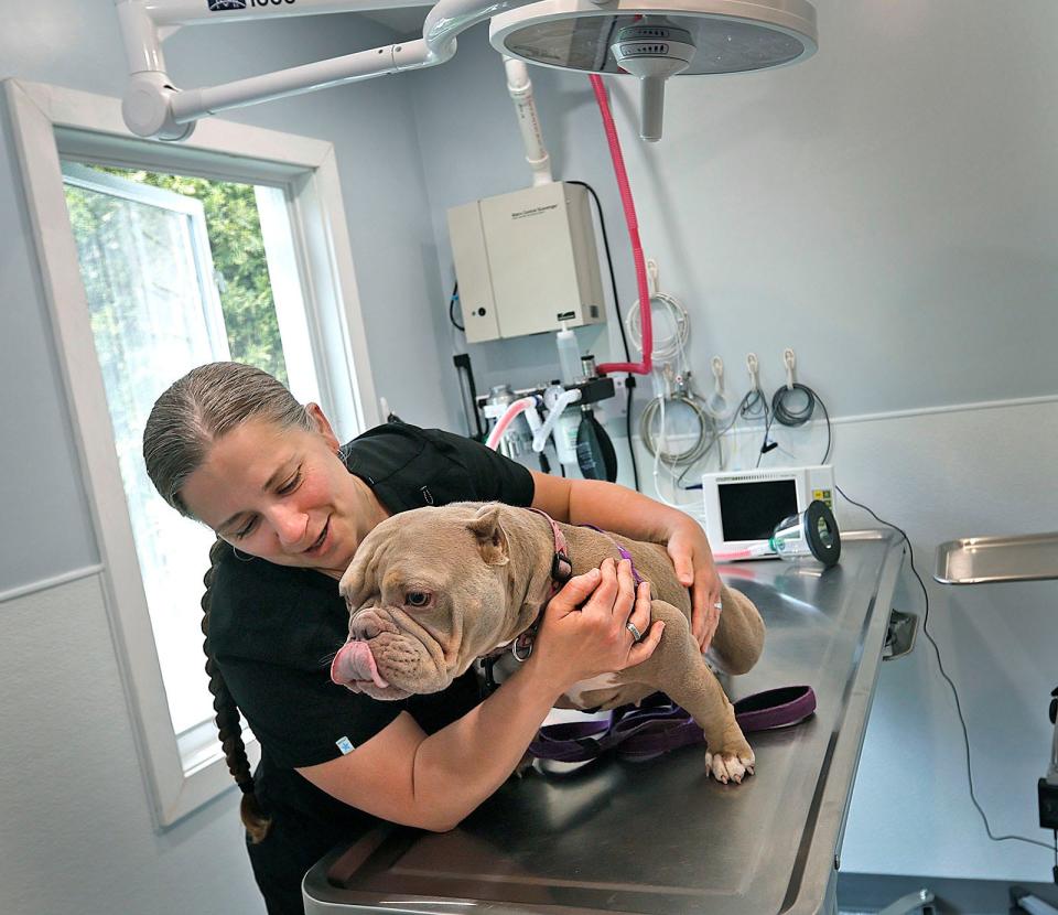 Veterinary technician Bonnie Morrissey and Grisele check out the new surgical room.
The Scituate Animal Shelter unveiled a new Veterinary Care Center inside the shelter which will allow for treatment of animals waiting for adoption. Major donations or the Fox Rock Foundation of Quincy made the project possible
on Friday May 17, 2024