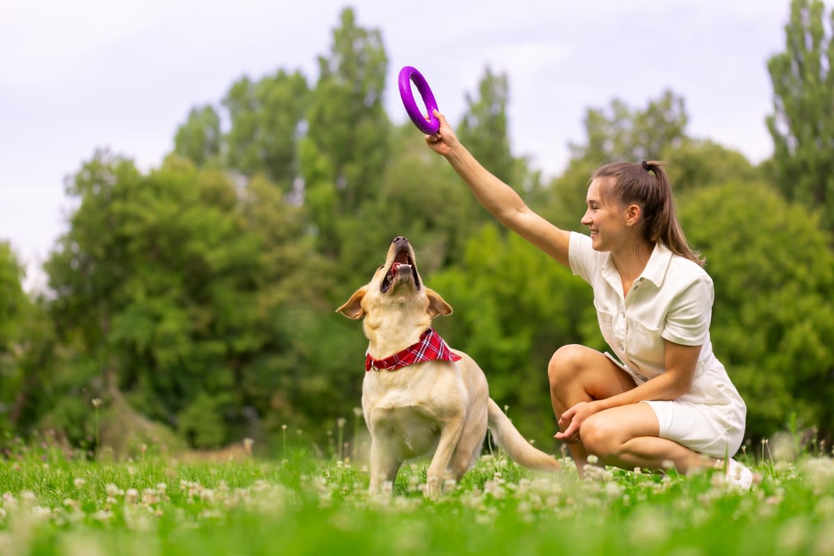 15 Fun & Sweet Ways To Celebrate National Dog Week With Your Pup