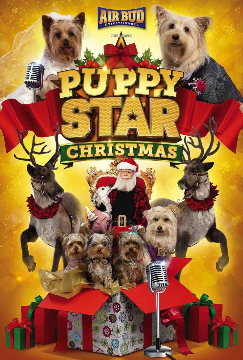 17) 'Puppy Star Christmas'