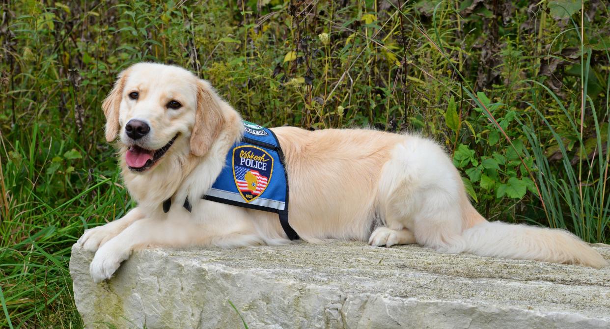 The Oshkosh Police Department recently announced the sudden passing of K9 Magic, a 4-year-old Golden Retriever that served as a therapy dog.