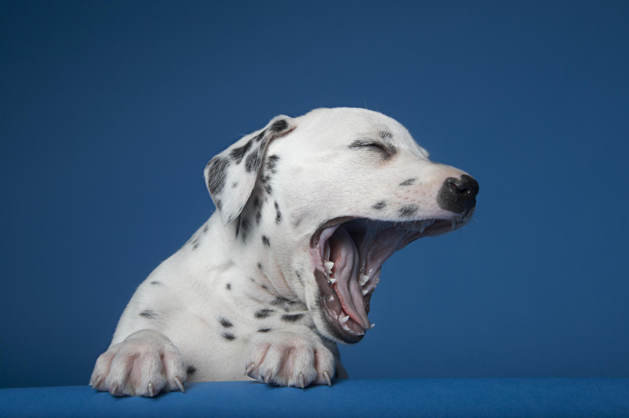 Tired? Your mattress could be to blame. (Photo: Getty Images)