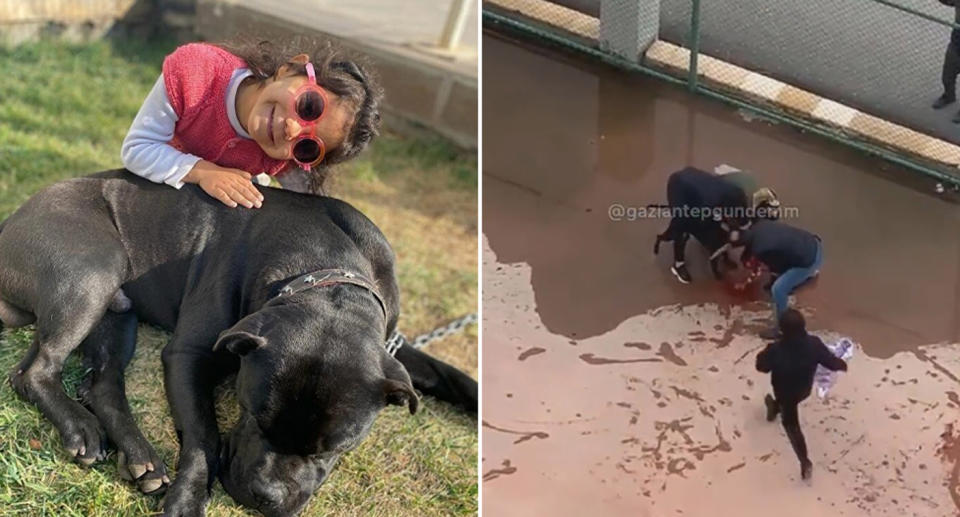 Asiye Ates wearing pink sunglasses is pictured left with a dog. On the right is footage of passers-by intervening in the dog attack.