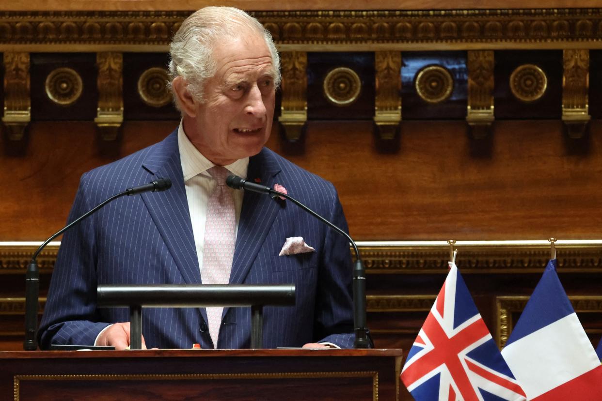King Charles addresses the Senate (POOL/AFP via Getty Images)