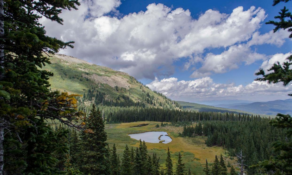 <span>Serpent Lake wetlands in New Mexico, in an undated photo. </span><span>Photograph: Jim O’Donnell/Courtesy American Rivers</span>