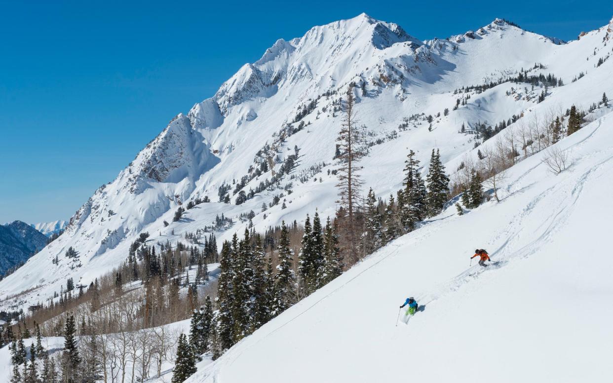 skiers in powder - Scott Markewitz/Getty